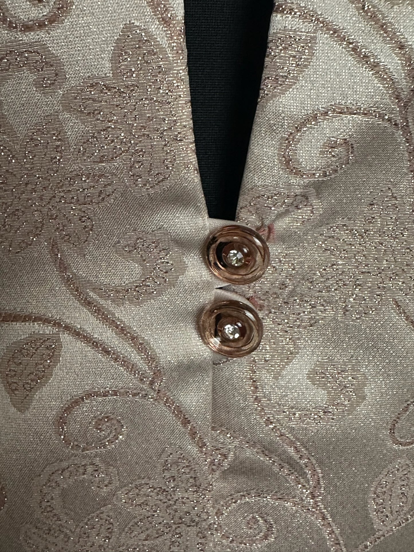 R&M RICHARDS CHAMPAGNE METALLIC SHIMMER FLORAL BLAZER SZ 8P
